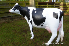 Cow Model (2012)